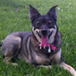 Meet your Posher, Tiffany